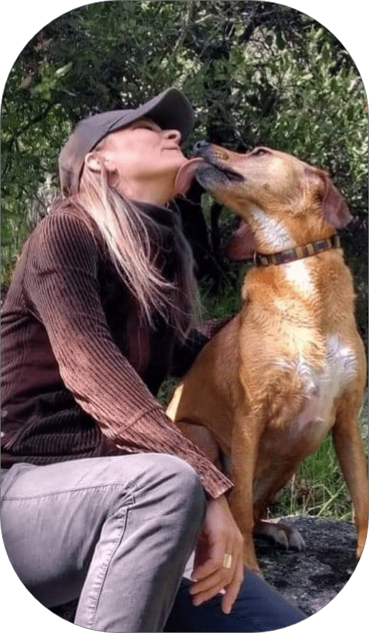 Chien qui lèche